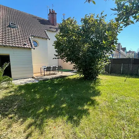 Les Pins - 24 Du Mans *