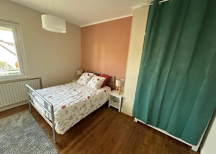 Les Pins - 24 Du Mans Le Mans