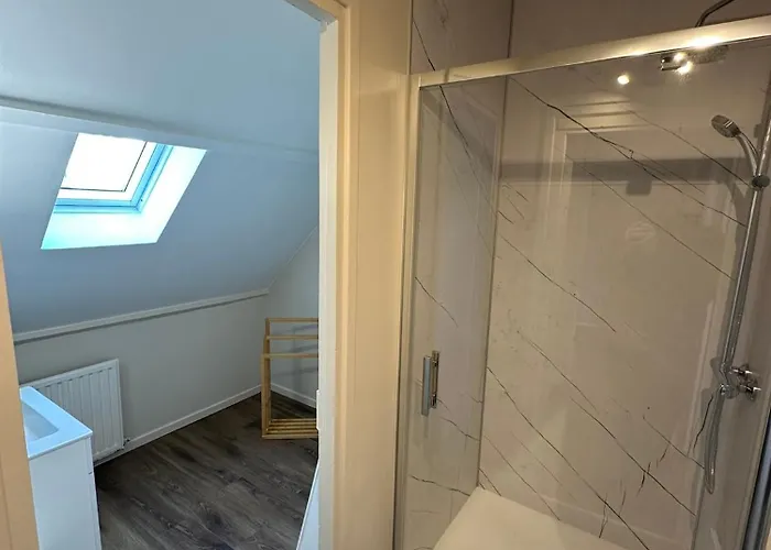 Les Pins - 24 Du Mans *